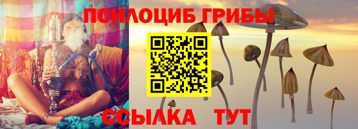 Псилоцибиновые грибы Magic Shrooms  Вход с VPN  Грозный  Псилоцибиновые грибы прущие грибы 