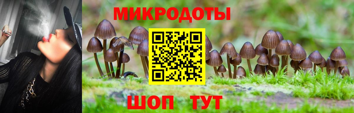 Галлюциногенные грибы прущие грибы Грозный